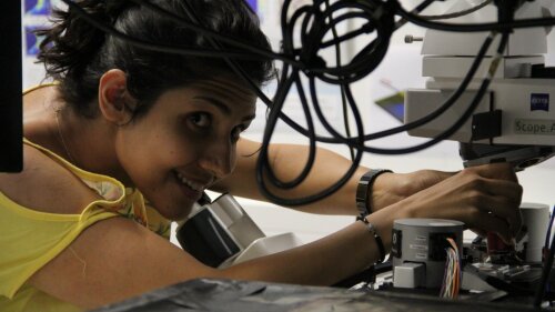 PhD candidate Najmeh Abbasirad working in the nanomicroscopy lab.