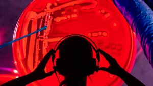 Spectroscopic analysics of a bacteria culture in the lab