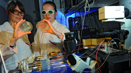 Sample inspection in the biophotonics labs.
