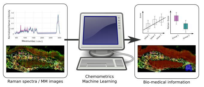 Translation of physical measurements (Raman spectra and multimodal images) on the left side into biomedical information like diagnostic markers on the right side.